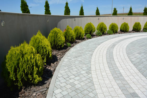 Reasons to Select Us for Your Driveway Paving Requirements in Laureles, TX